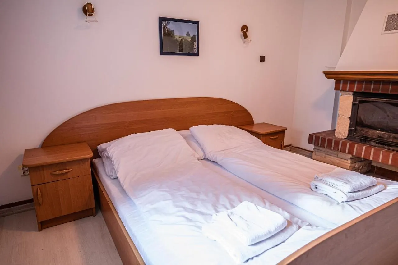 Willa Mewa Zakopane Guest house